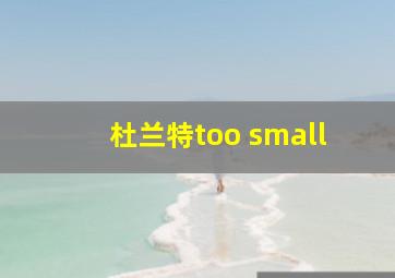 杜兰特too small